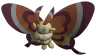Cinnamoth portrait