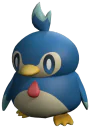 Pengullet portrait