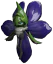 Vaelet portrait